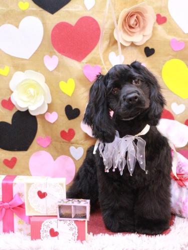 20230216天ちゃん